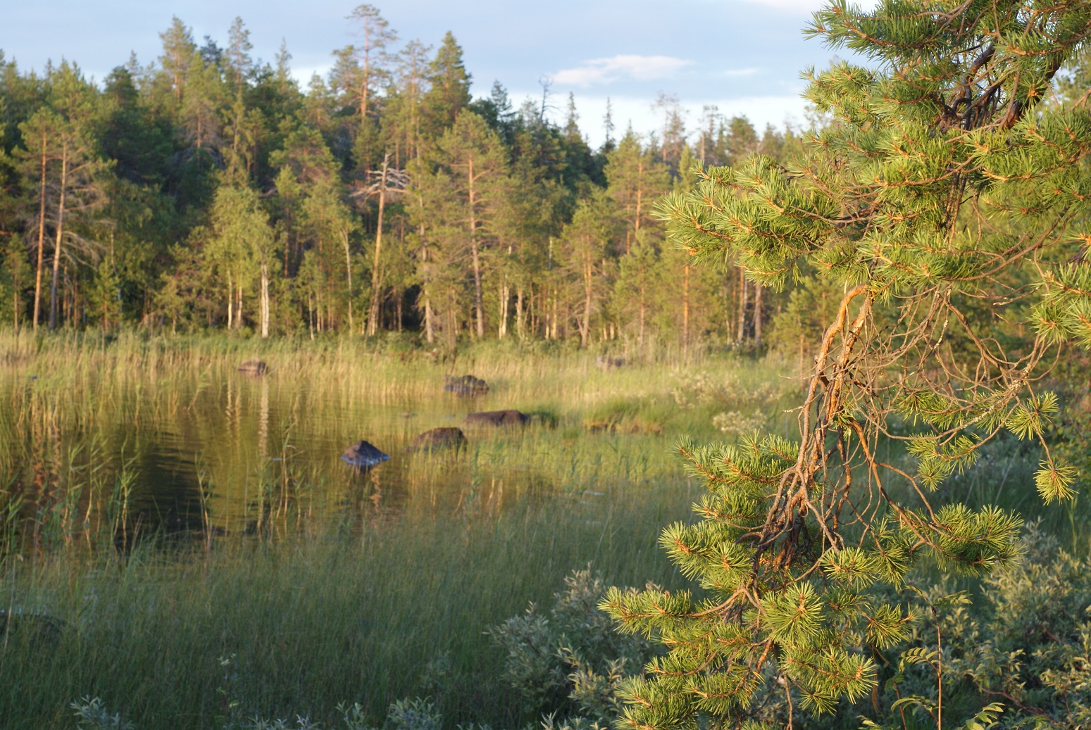 Карелия, одно из озер на реке Пистайоки.